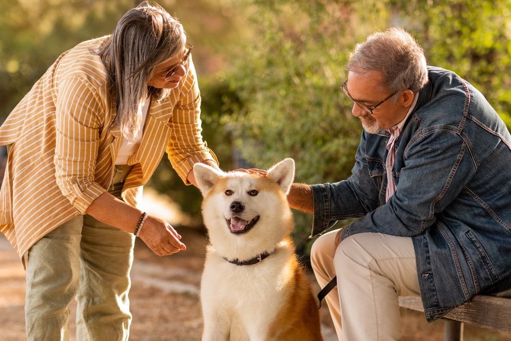 5. Consider Adopting a Pet
